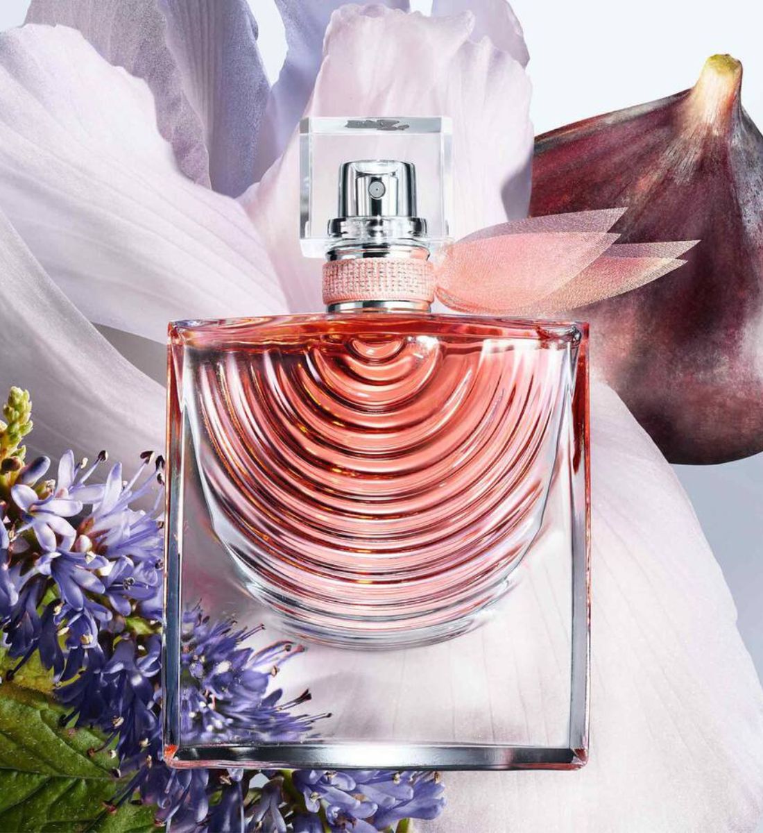 Galleria foto 'Profumi, novità per l’Estate 7 fragranze irresistibili per la Bella Stagione' - foto 5