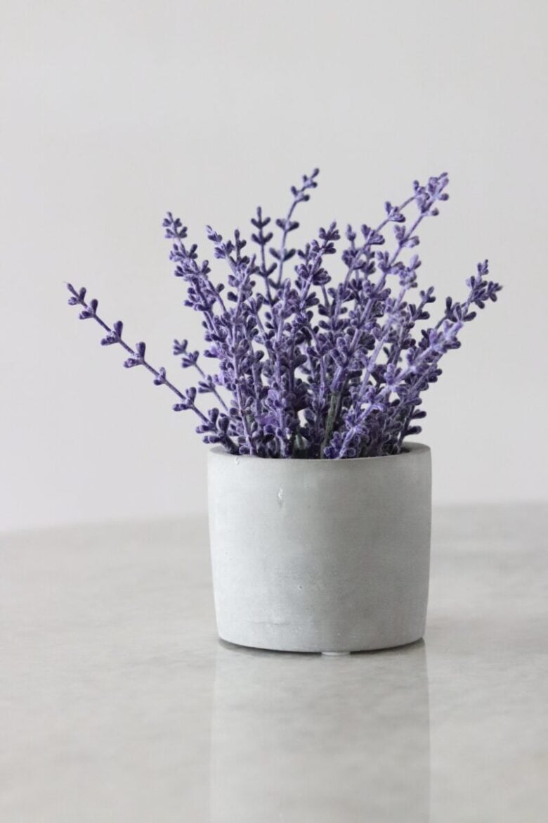 lavanda vaso