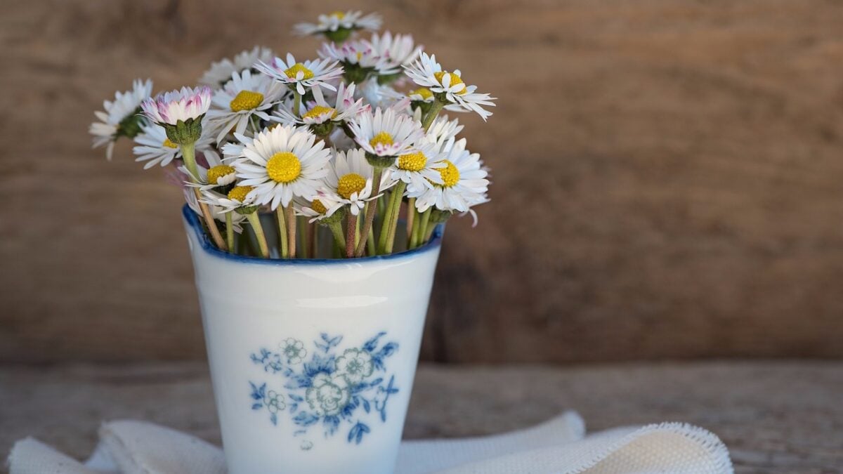 I Fiori più belli per arredare il tuo Terrazzo d’Estate. Ecco le piante da scegliere…