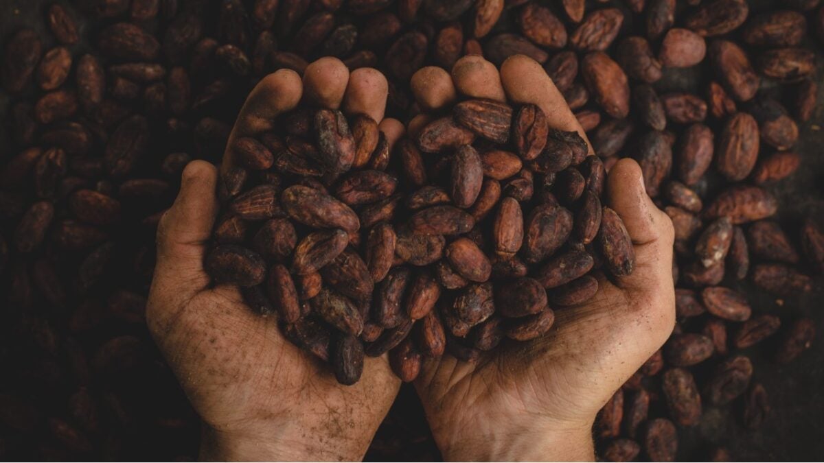 Una coccola per l’olfatto: 6 golosissimi Profumi al Cioccolato