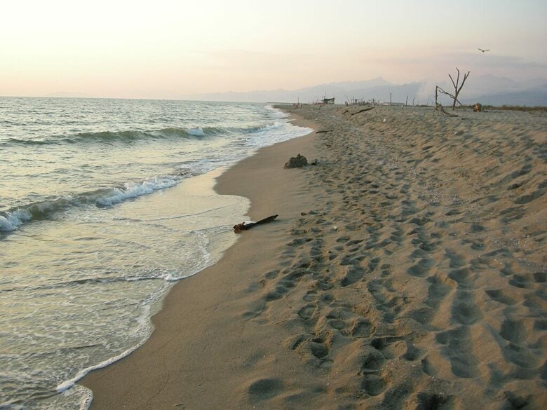 lecciona spiaggia