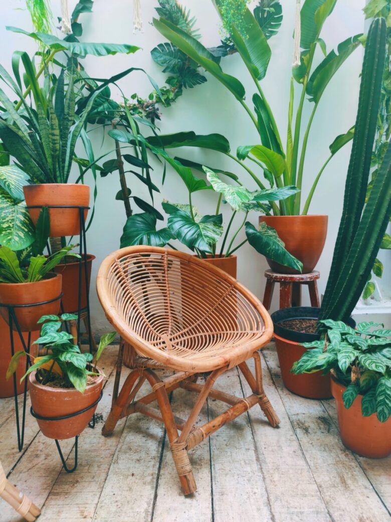 rattan home decor