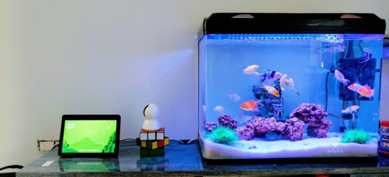 acquario