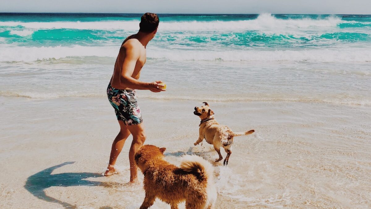 Dog Beach: 6 spiagge pet friendly d’Italia per goderti il mare con il tuo Cane