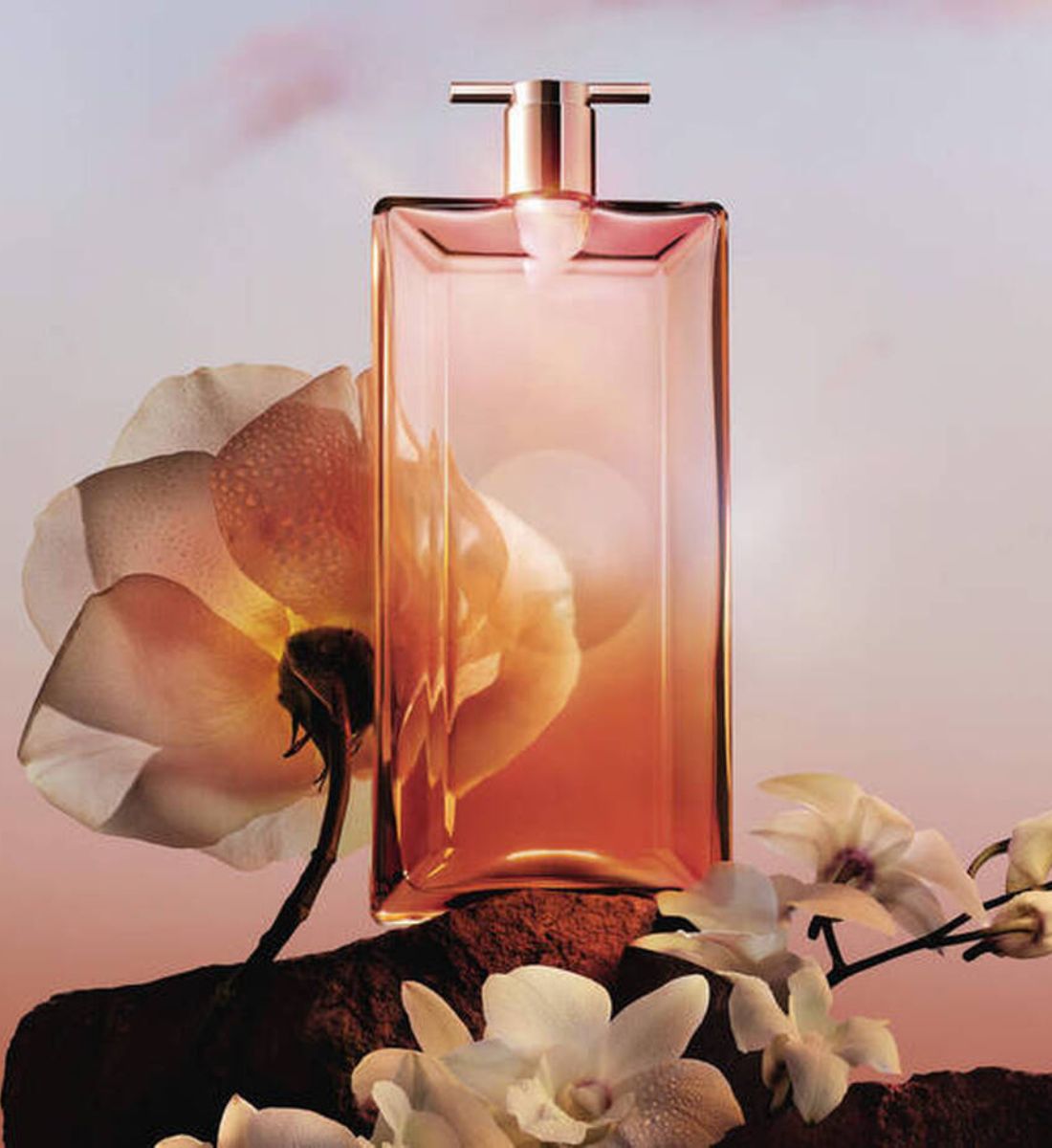 Galleria foto 'Orchidea, 6 profumi chic alle note del fiore più romantico' - foto 5