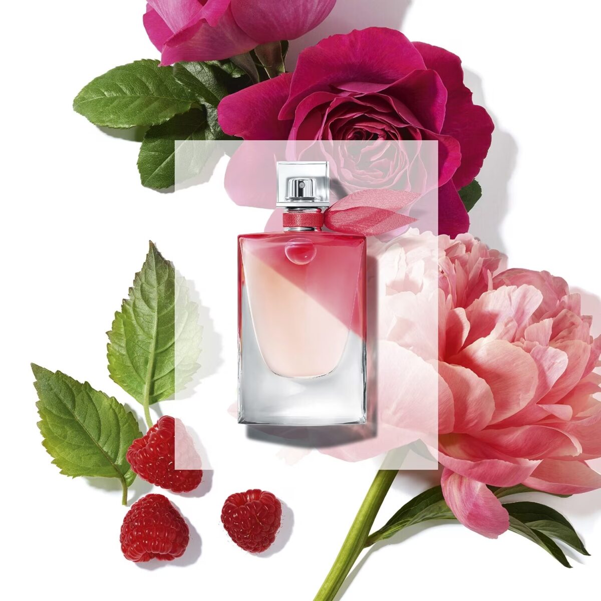 lancome