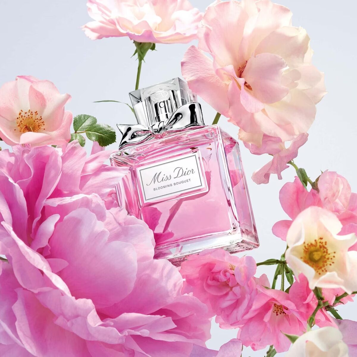 miss dior