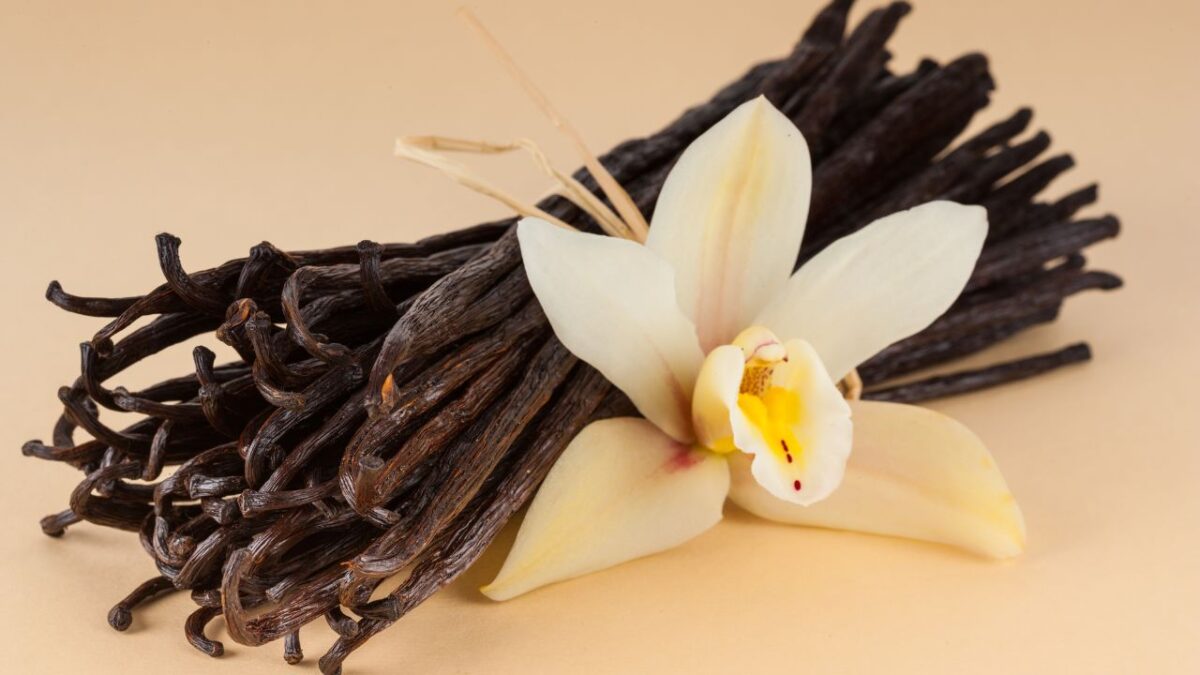 9 Profumi alla vaniglia, il gusto più classico e intramontabile