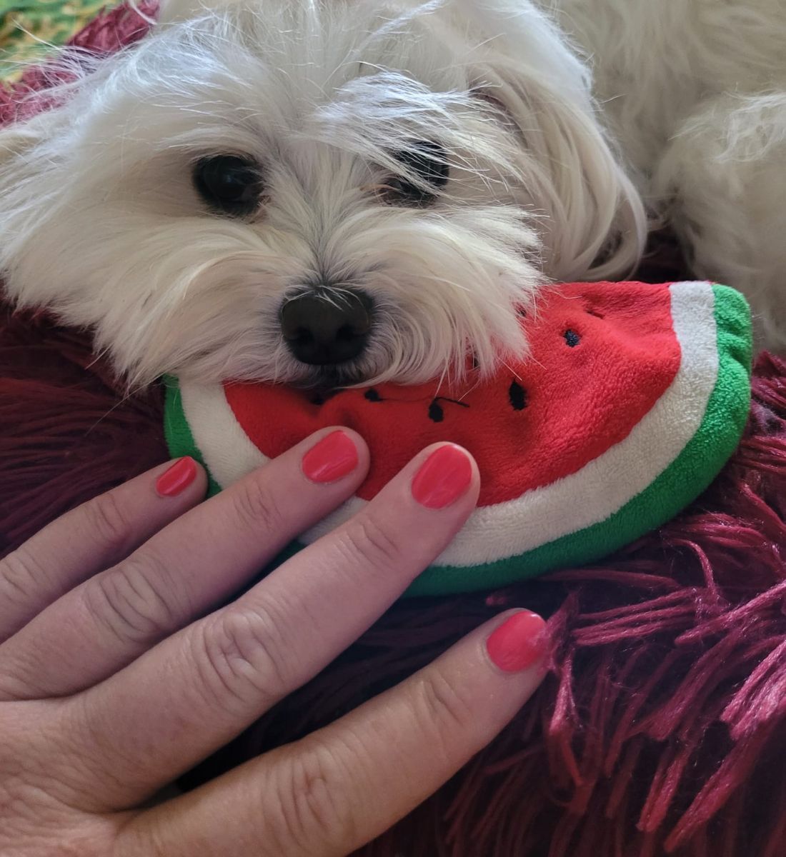 Galleria foto 'Unghie corallo, 10 manicure trendy per l’estate' - foto 1