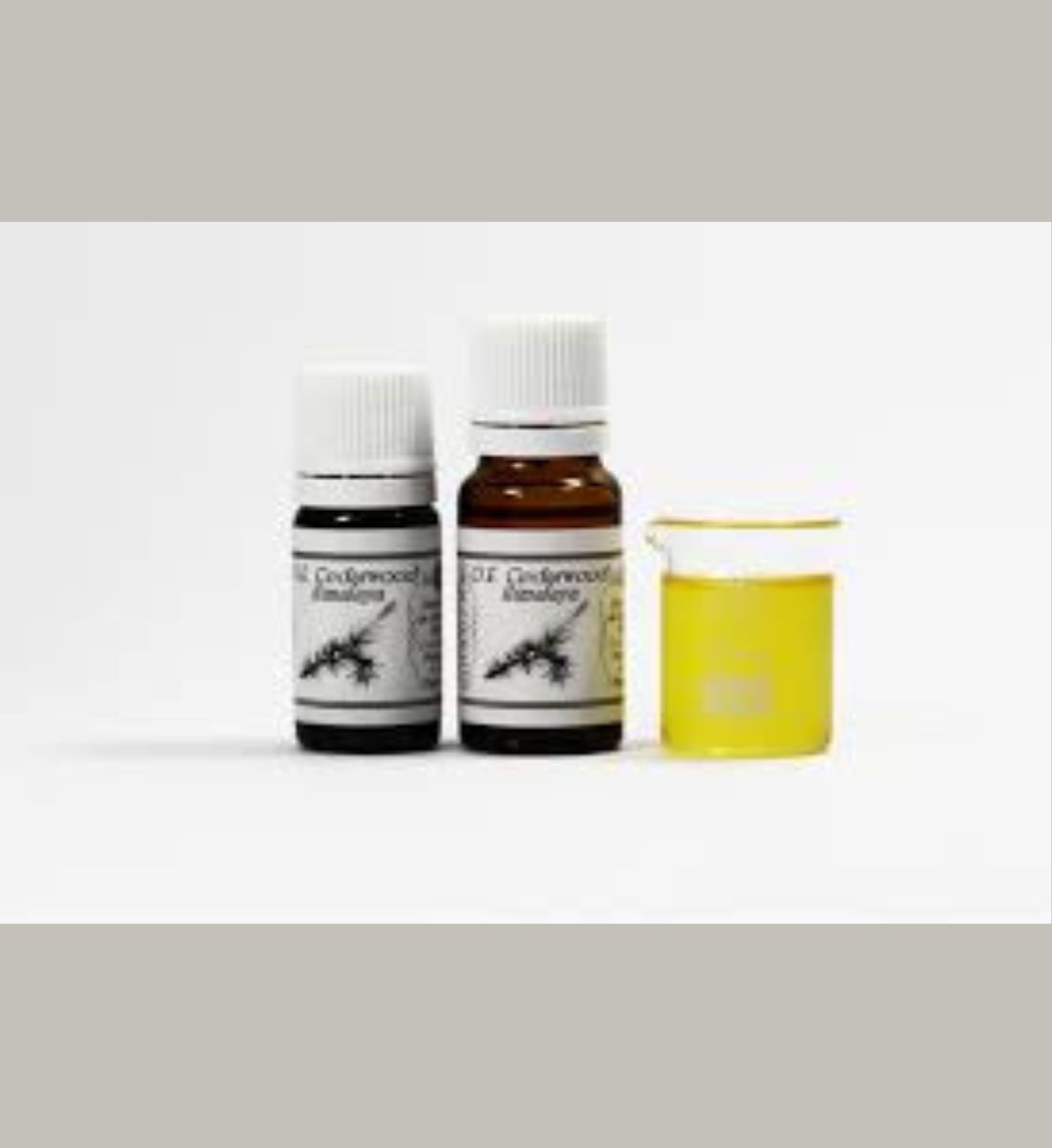Galleria foto '8 Oli essenziali per proteggere e nutrire i capelli. Da Provare!' - foto 4