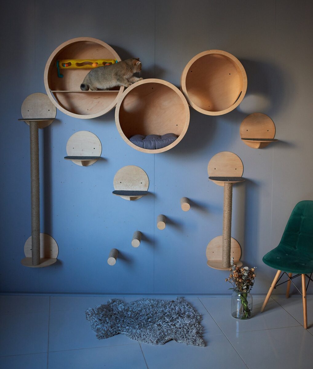 Galleria foto '6 Cucce di design per cani e gatti. I vostri migliori amici le adoreranno!' - foto 3