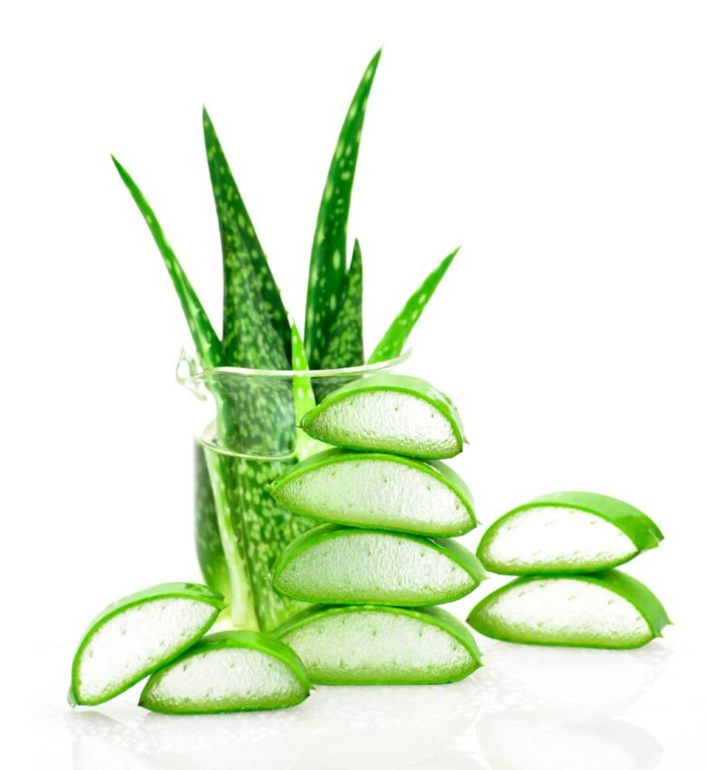 aloe vera