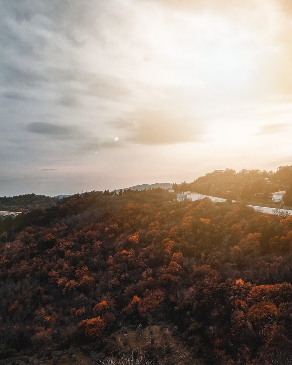 Galleria foto 'Istria, 5 attrazioni uniche di questa splendida penisola tra Italia e Croazia' - foto 1