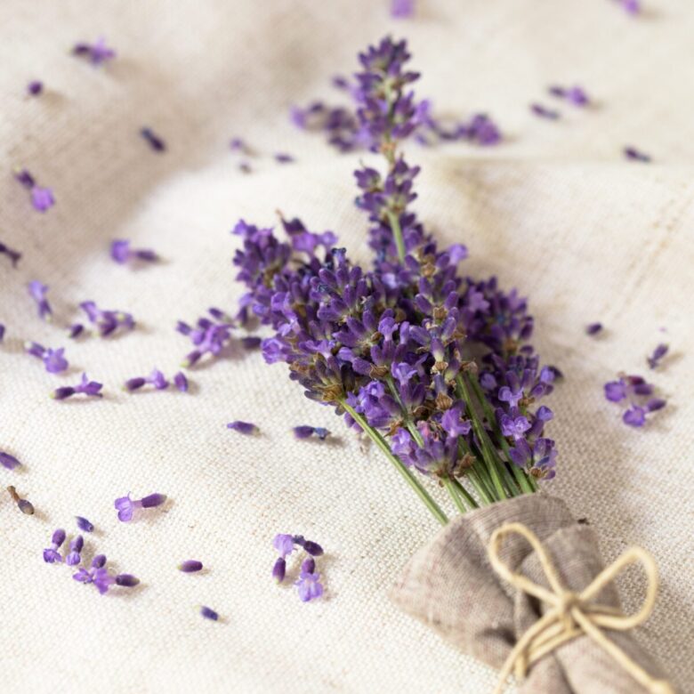 lavanda per casa
