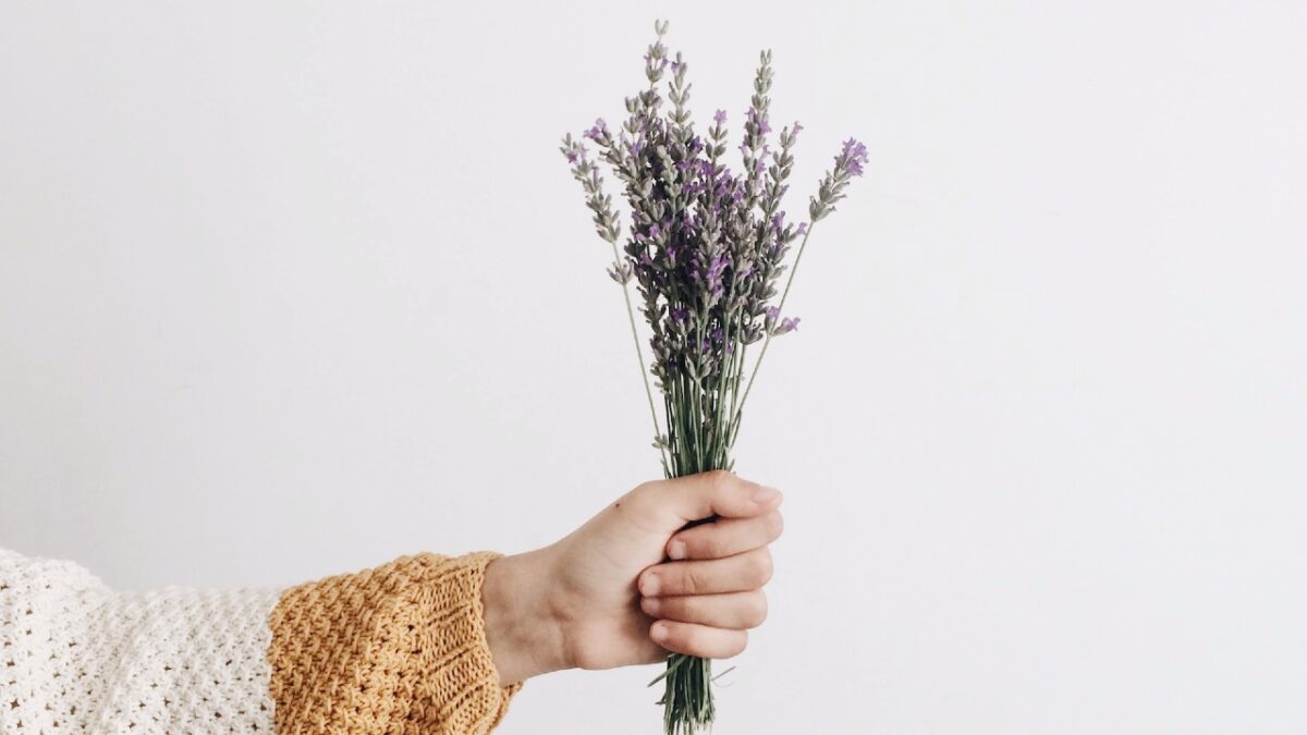 Lavanda, 6 utilizzi per la casa: Idee da copiare!