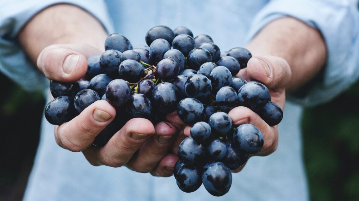 I 5 benefici dell’Uva per Pelle e Capelli. Da non credere!