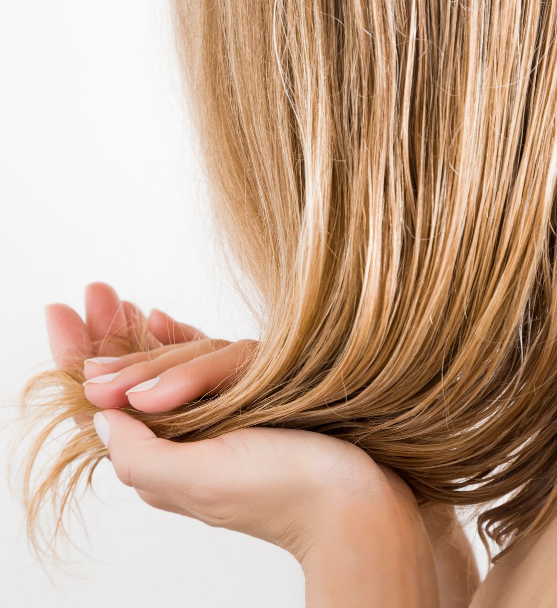 Galleria foto 'Olio di Nocciola, usi e benefici per Pelle e Capelli' - foto 2