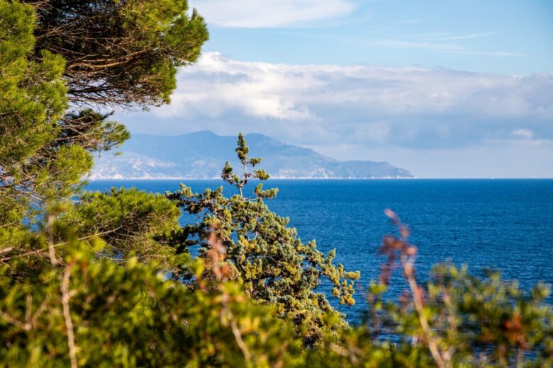 Toscana, Isola del Giglio