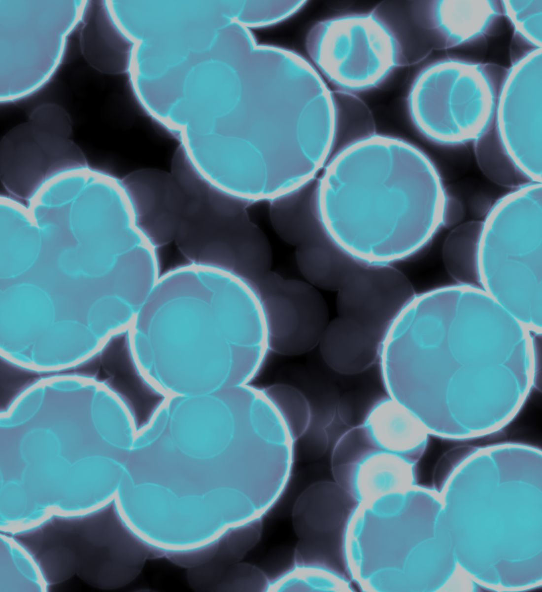 Galleria foto 'L’acido lattico è un ingrediente top per la pelle. Ecco a che serve…' - foto 3