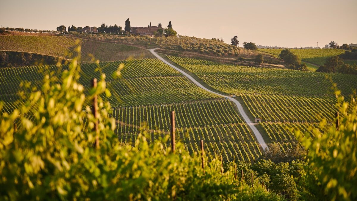 I 5 Borghi tra i Vigneti più belli d’Italia. Scoprili subito!