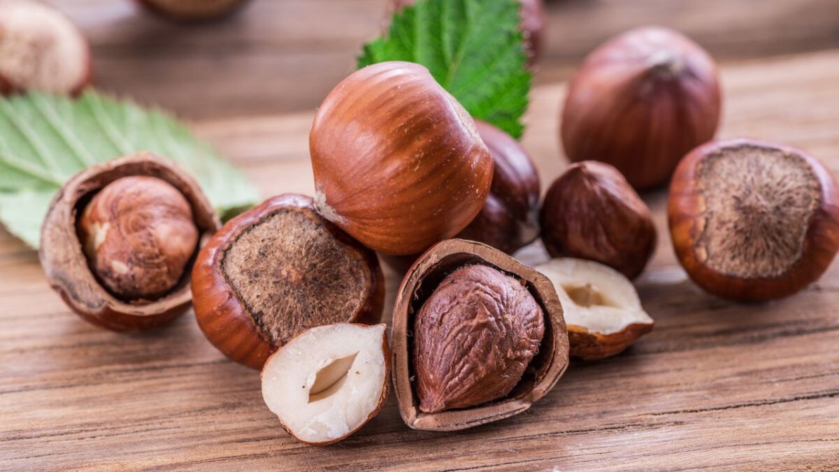 Olio di Nocciola, usi e benefici per Pelle e Capelli