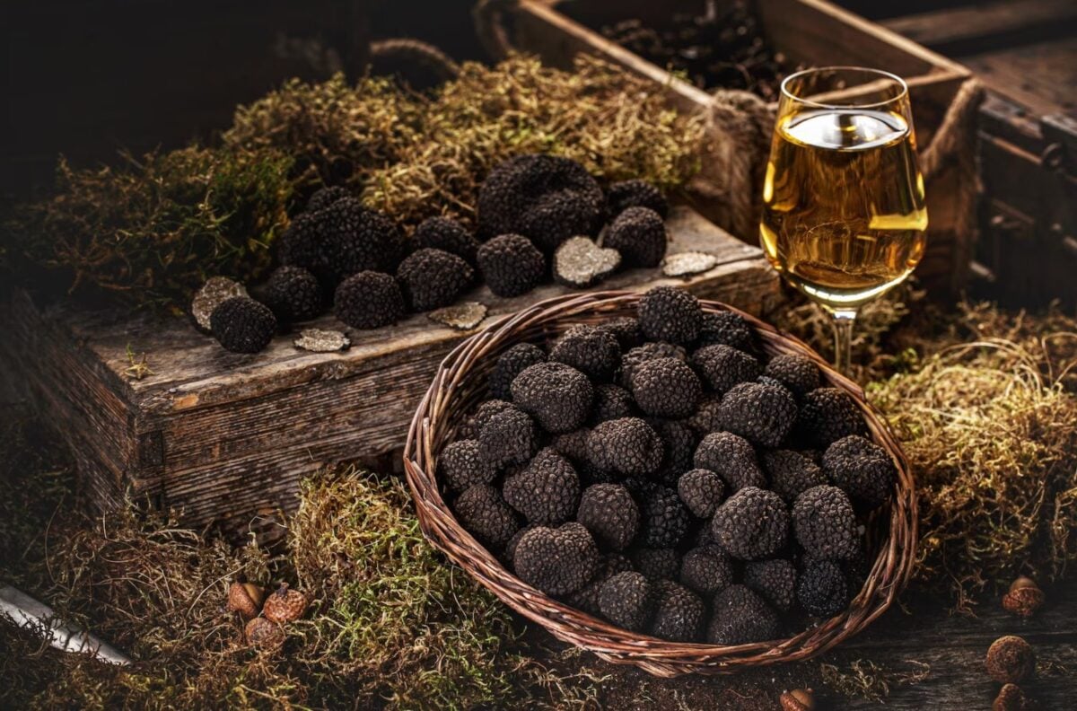 tartufo
