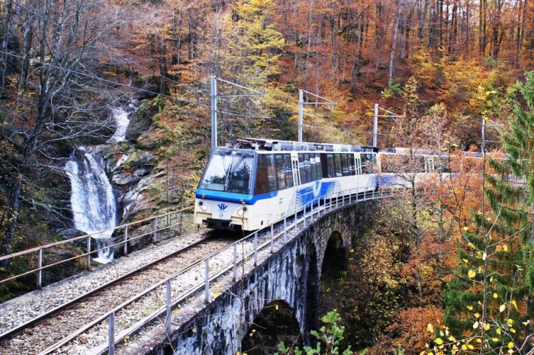 Foto treno del foliage