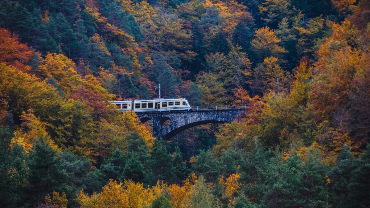 Grazie a questo treno potrai vivere un viaggio affascinante nell’autunno Italiano. Cosa stai aspettando?!
