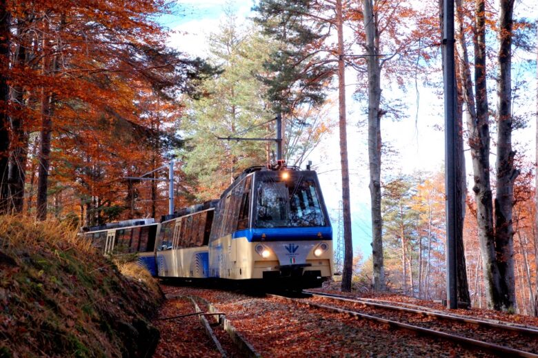 ferrovia treno foliage