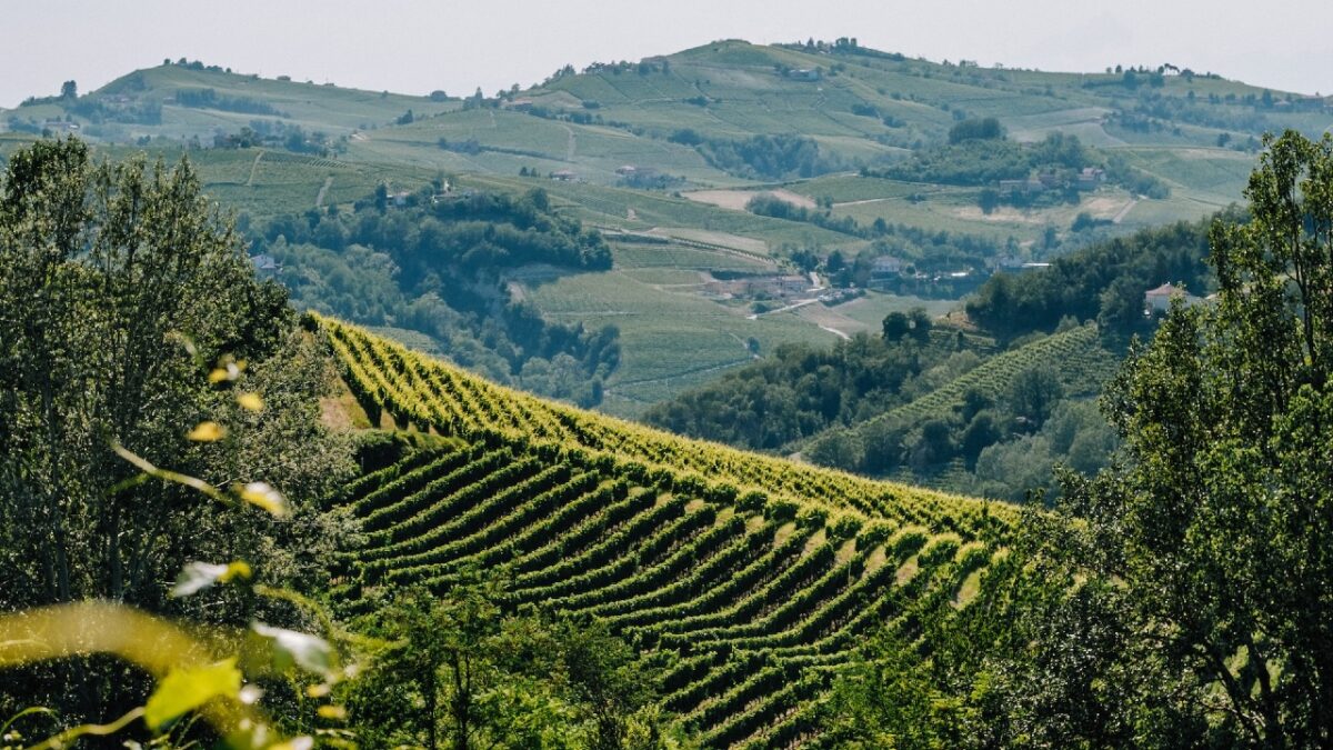 E’ il Borgo delle Cantine sotterranee, scoprilo subito è il più bello del Monferrato!