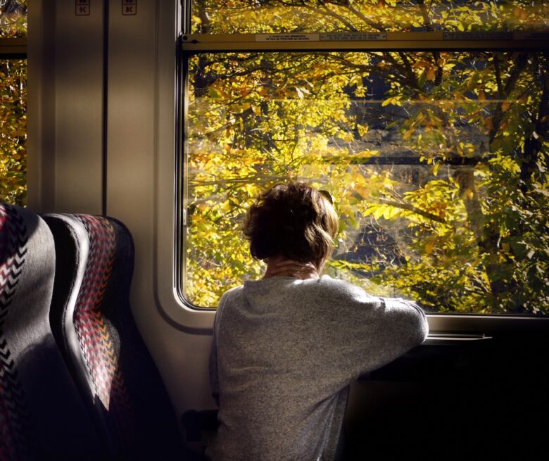 Treno del foliage