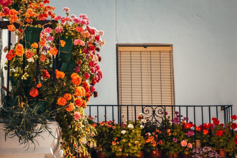 Fiori Balcone autunno