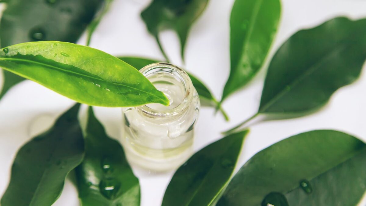 Tea Tree Oil, 5 benefici per la pelle che forse non conosci