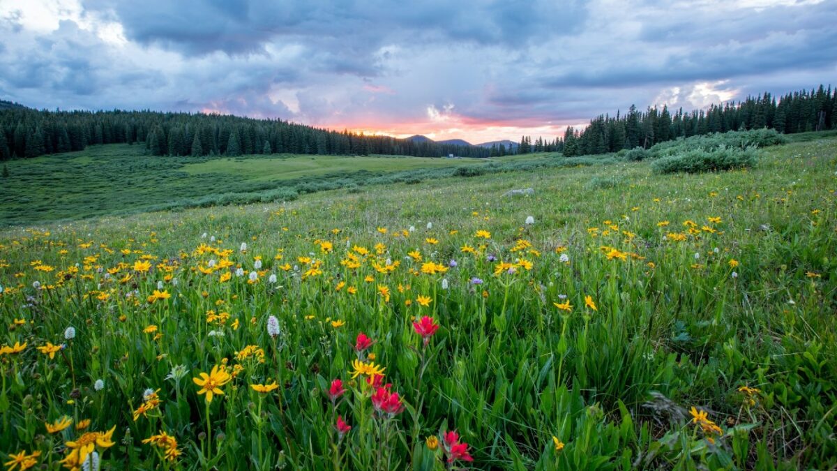 Primavera 2024, questi sono i borghi d’Italia che devi assolutamente visitare!