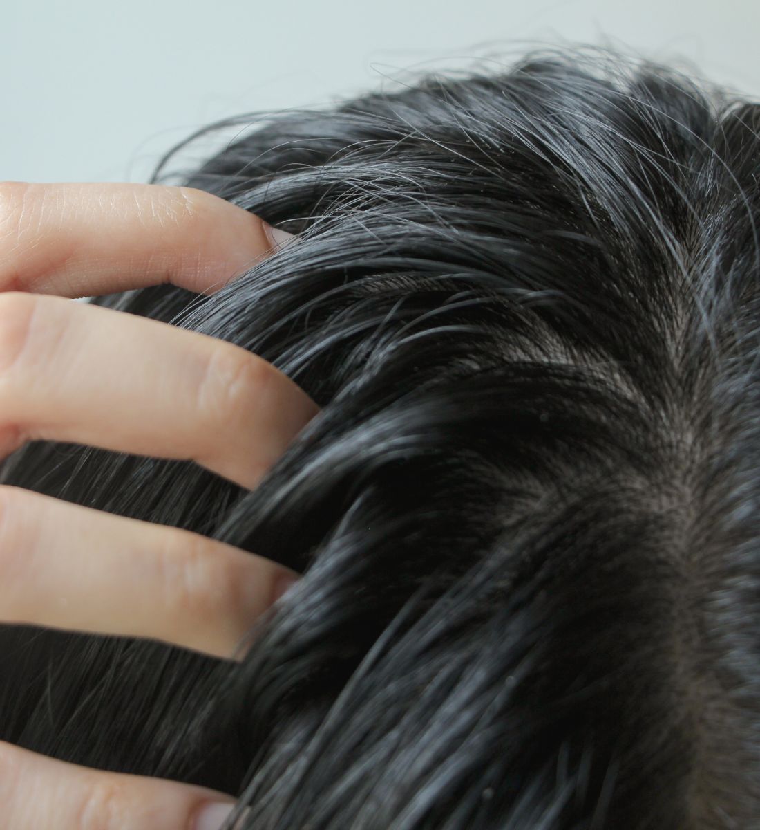 Galleria foto 'Come mantenere i capelli sani con i trattamenti agli oli essenziali' - foto 4