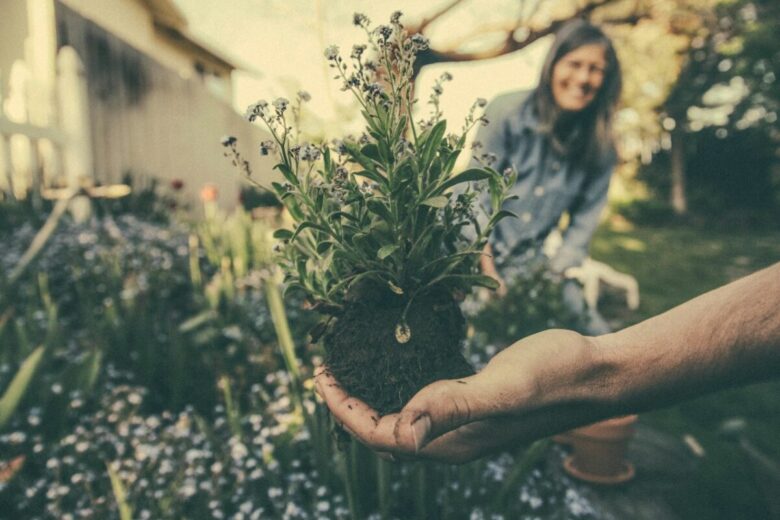 Guida alla preparazione del Giardino