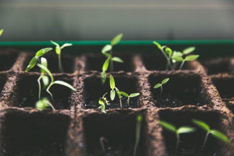 Guida alla preparazione del Giardino