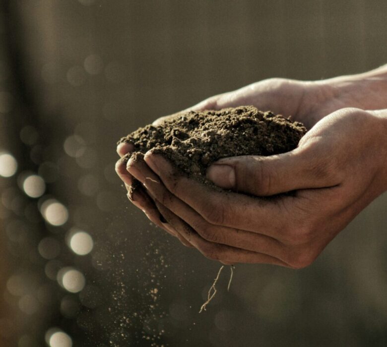 Guida alla preparazione del Giardino