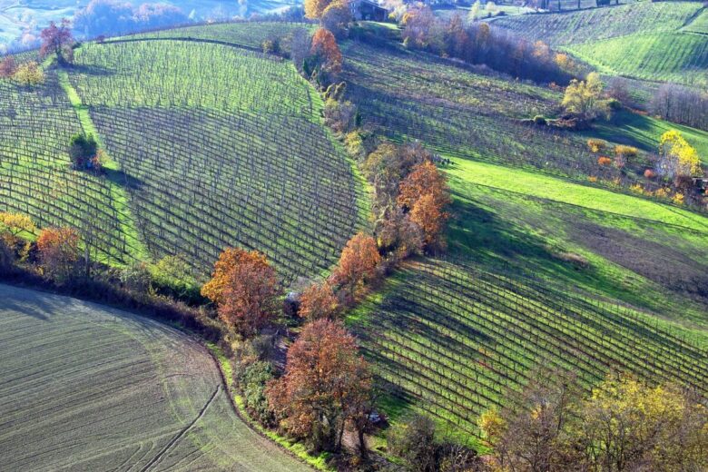 borgo langhirano