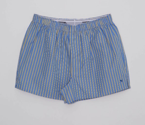 boxer