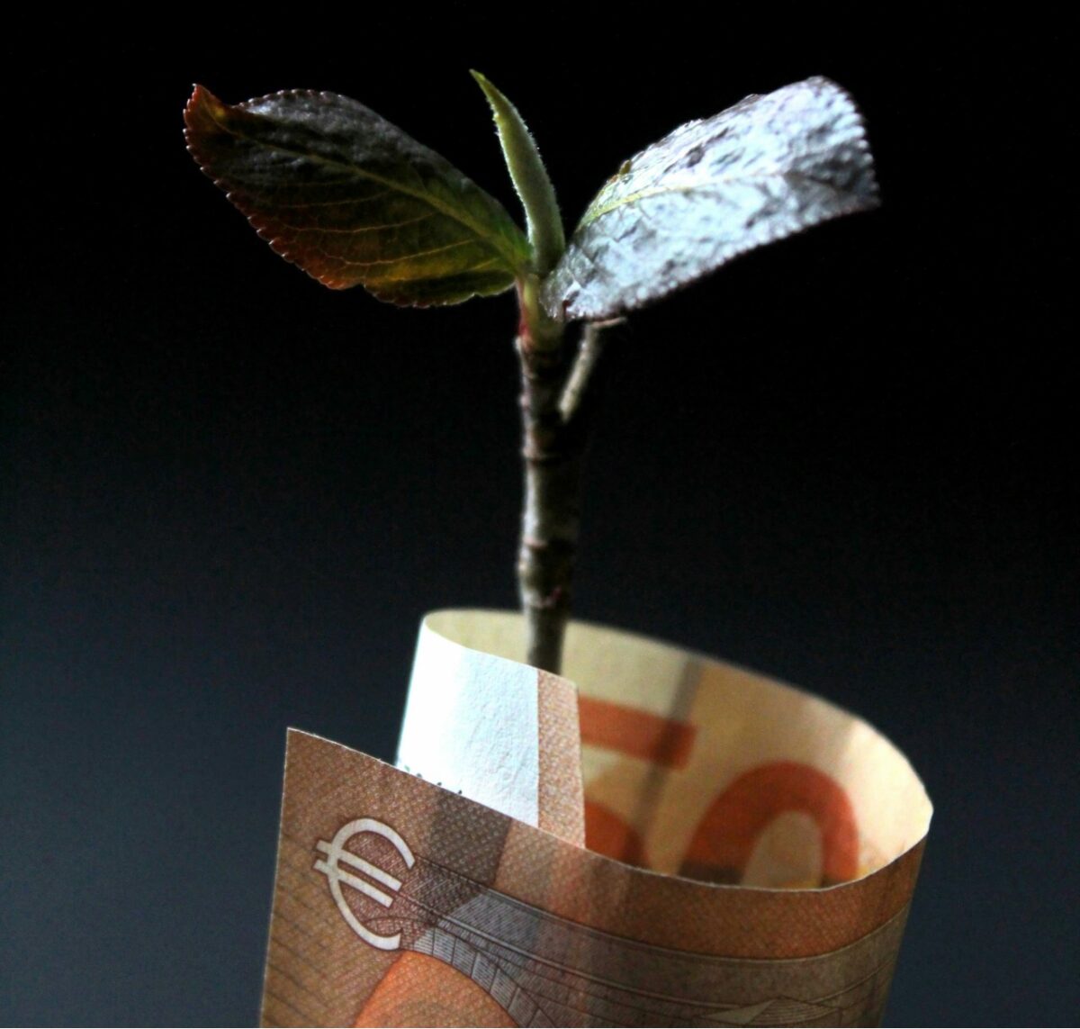 Galleria foto 'Spese per la Casa: gli errori comuni da evitare se vuoi risparmiare' - foto 4