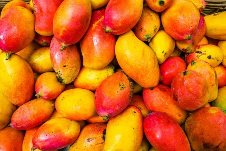 Questo delizioso frutto esotico è un toccasana per Pelle e Capelli Questo delizioso frutto esotico è un toccasana per Pelle e Capelli