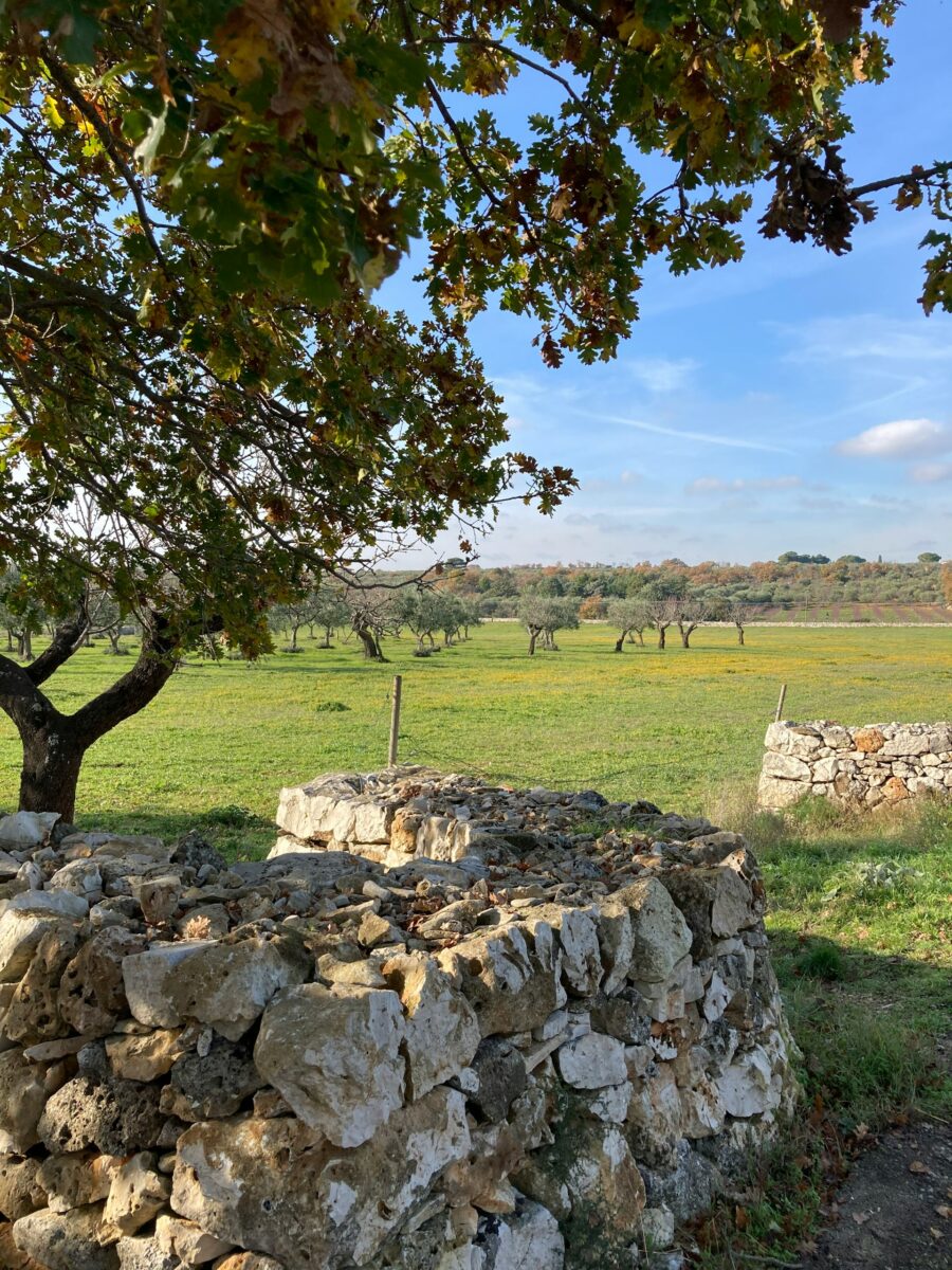 Galleria foto 'Borghi in e-bike: questi sono perfetti da vivere su due ruote' - foto 1