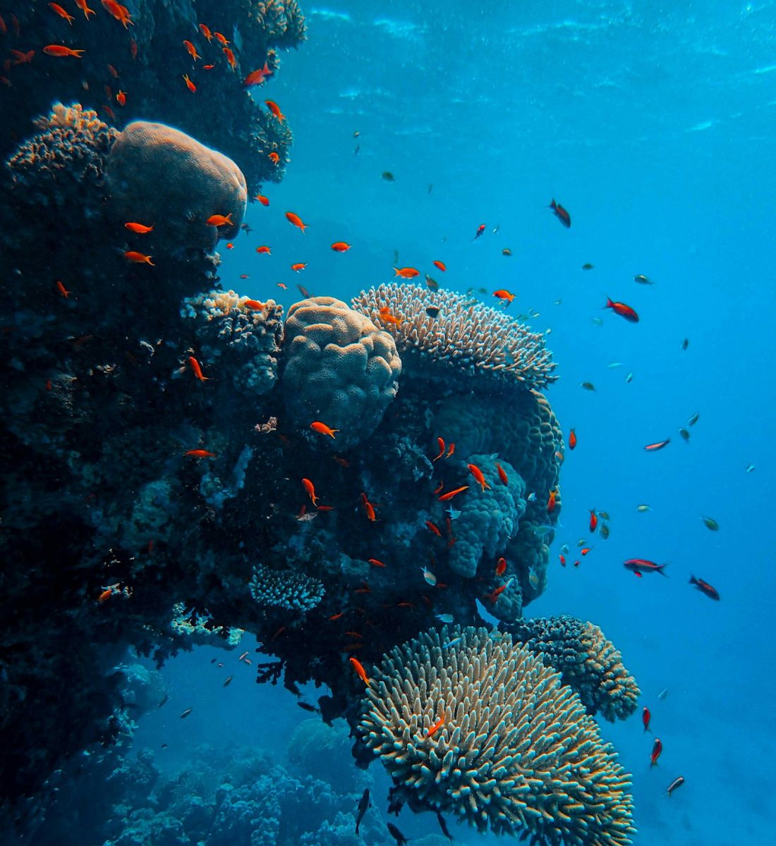 Galleria foto 'Bellezza e sostenibilità: ecco i Brand Beauty che amano il Pianeta…' - foto 2