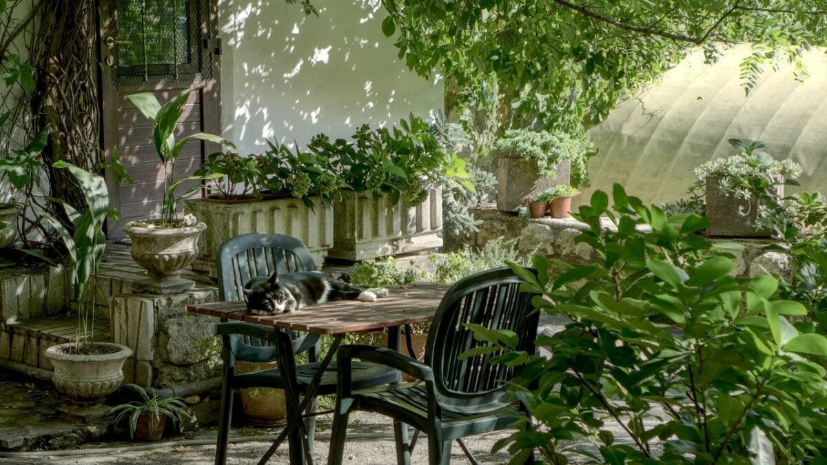 Piccoli Giardini, come sfruttarli al meglio: idee da copiare e consigli imperdibili!
