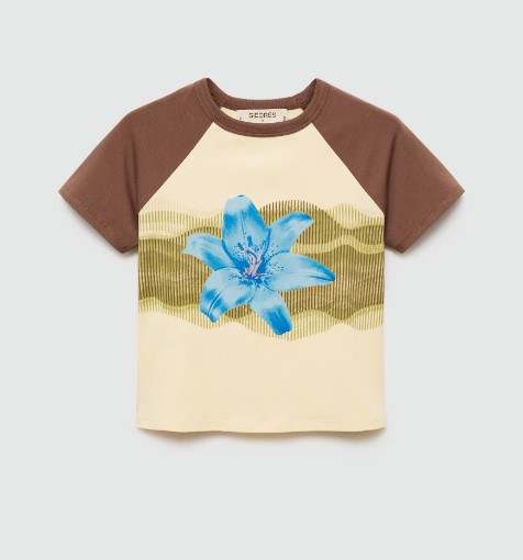 mango siedrés maglia