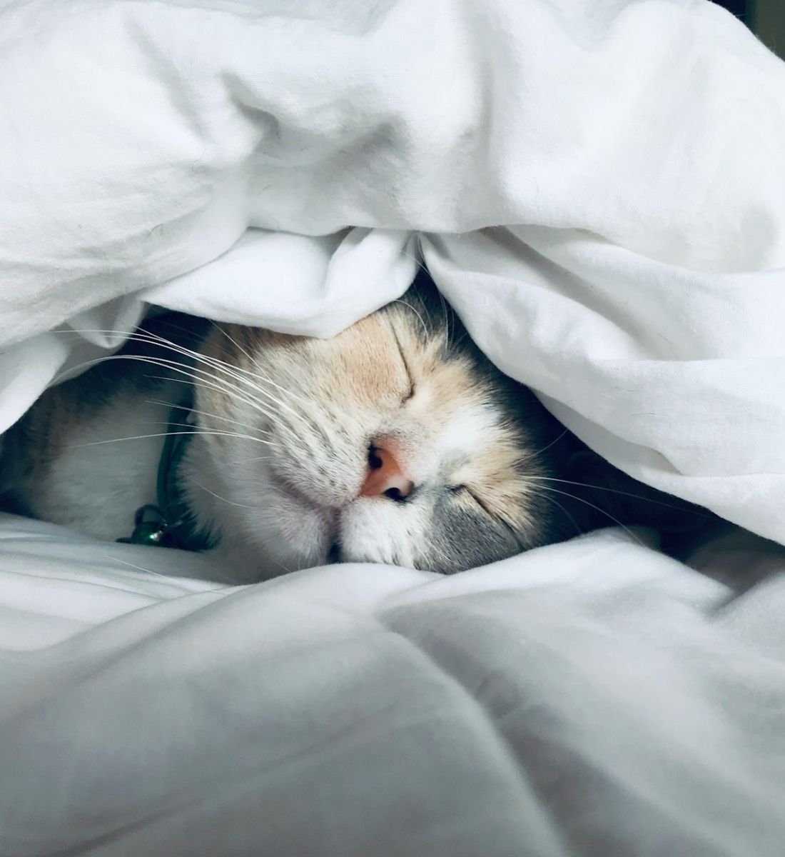 Galleria foto 'Borse e occhiaie, i migliori rimedi naturali per eliminarle' - foto 4