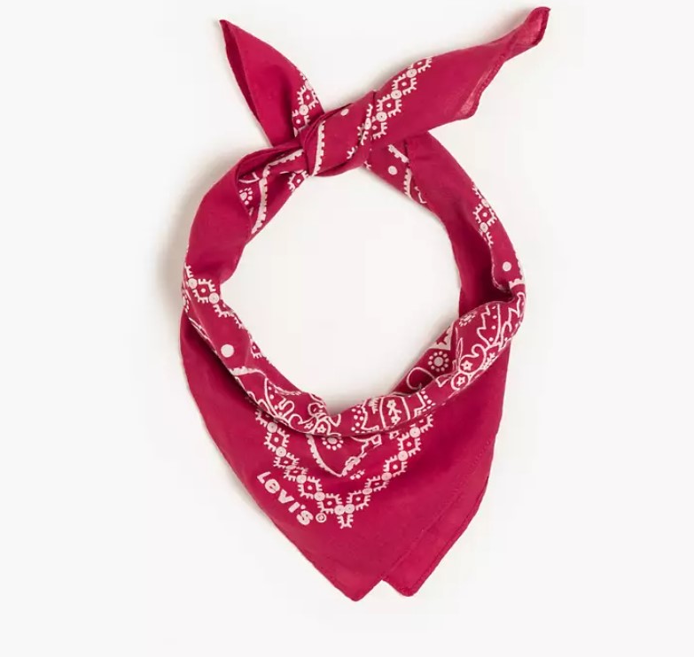 Galleria foto 'Stampa Paisley, il motivo country-chic approvato dalle star!' - foto 3