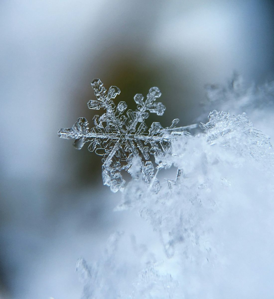 Galleria foto 'I trattamenti di bellezza da fare assolutamente d’Estate. Provare per credere!' - foto 5