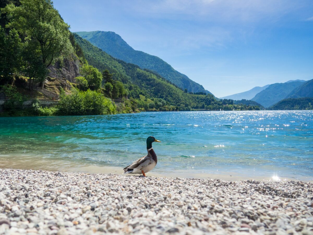 Galleria foto 'Un Borgo sul Lago di Ledro perfetto per scappare dal caldo! Resterai senza parole…' - foto 3